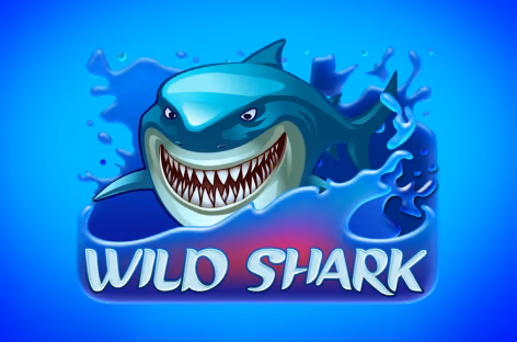 Wild Shark